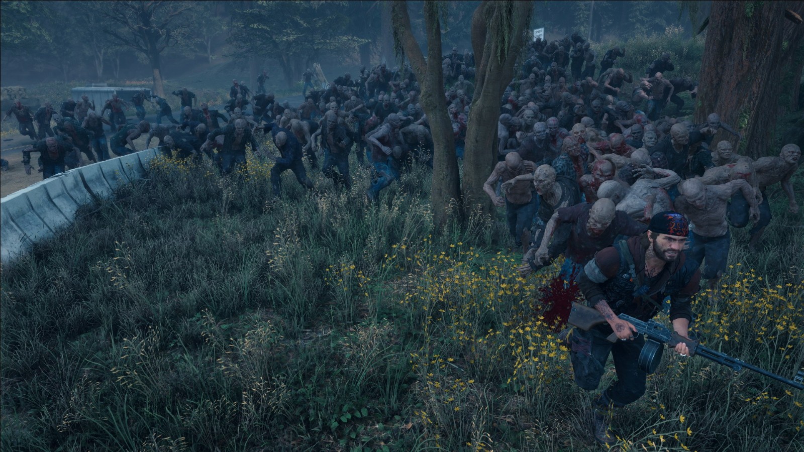 往日不再植物有什么用