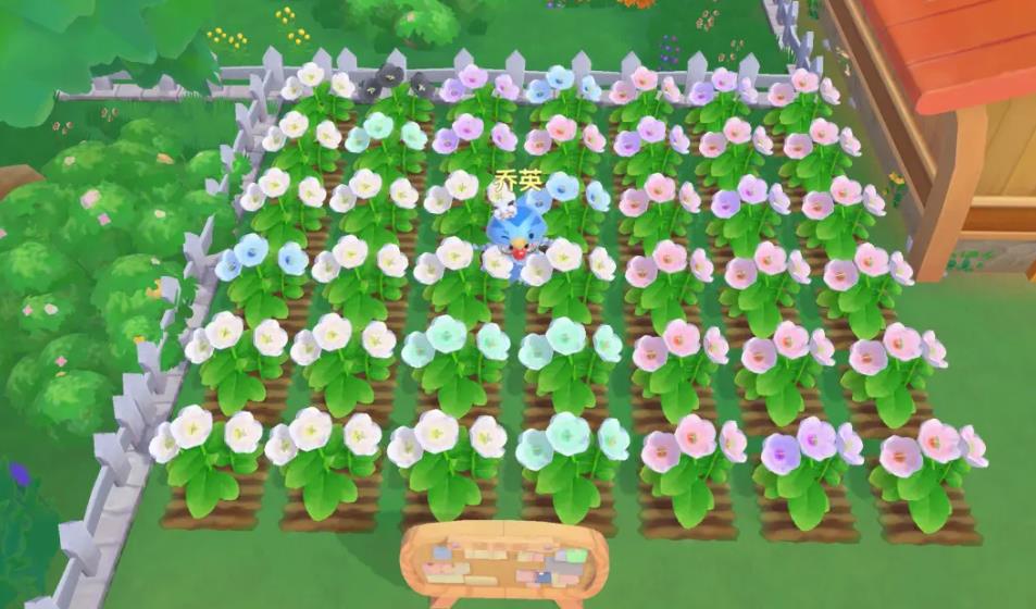 摩尔庄园邻居树怎么装修