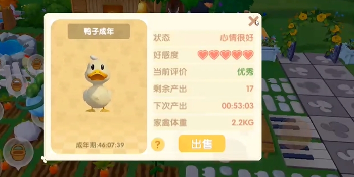 摩尔庄园的动物怎么加好感度