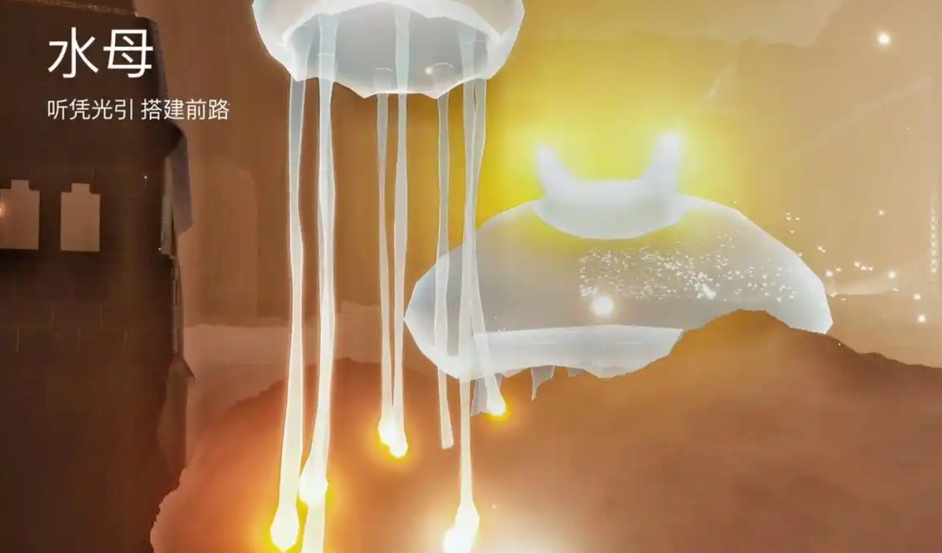光遇里波波怎么升级
