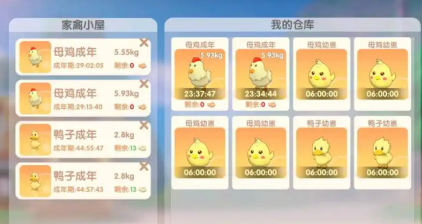 摩尔庄园小鸡怎么来的