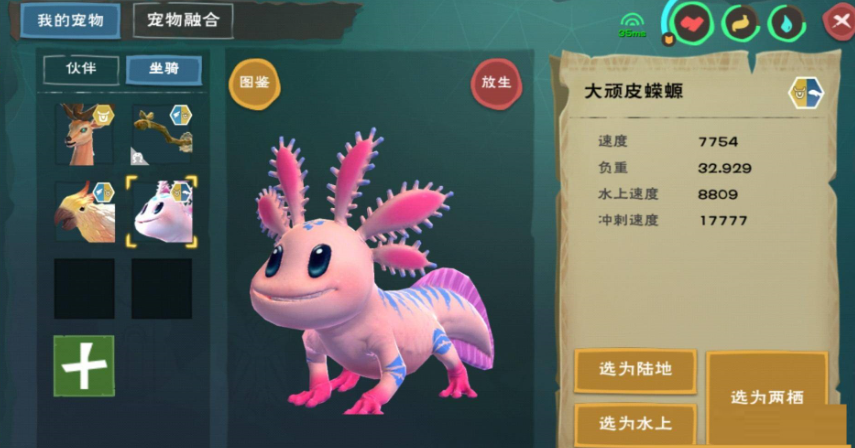 创造与魔法大蝾螈位置在哪里