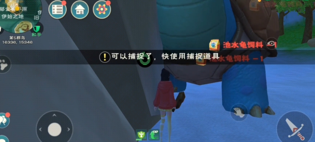 创造与魔法龟饲料怎么制作
