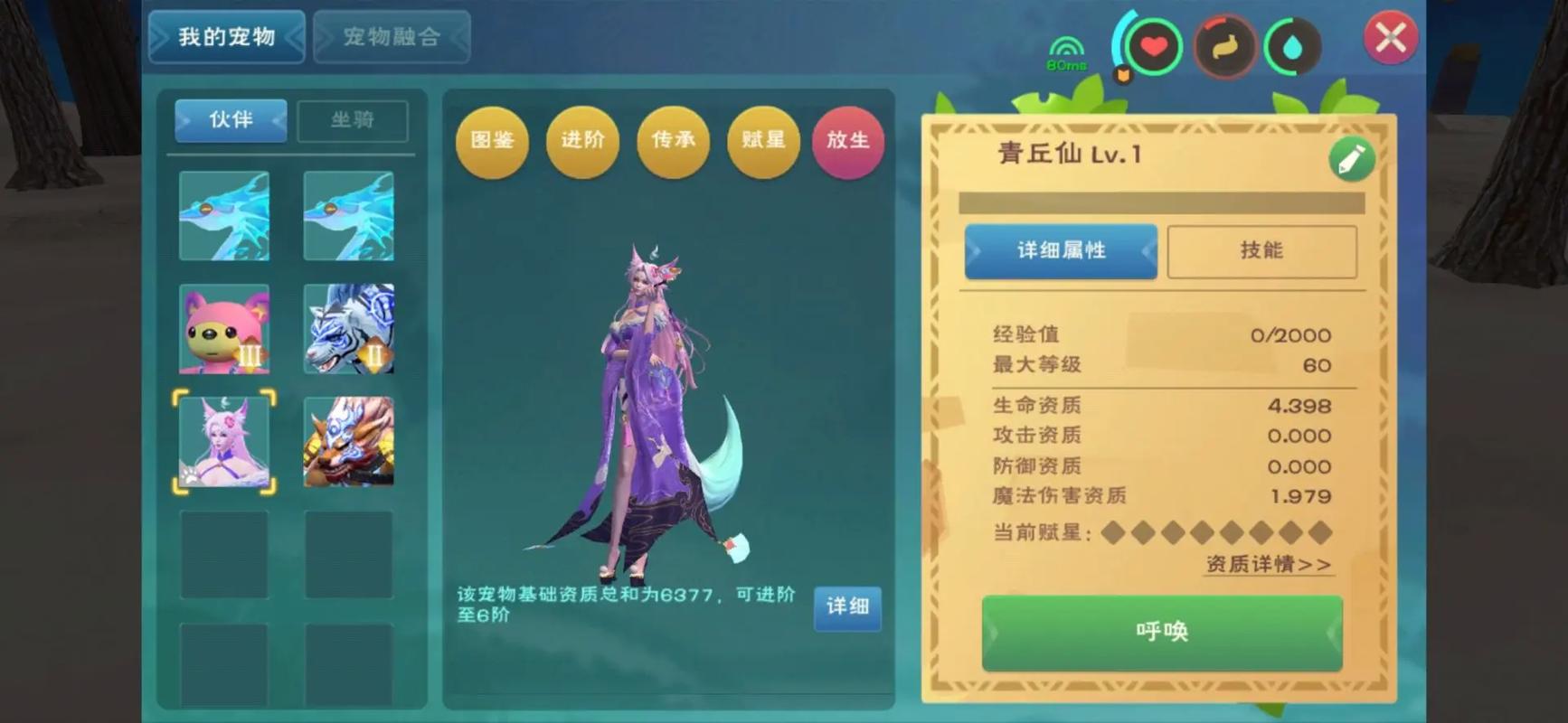 创造与魔法派遣任务什么宠物好