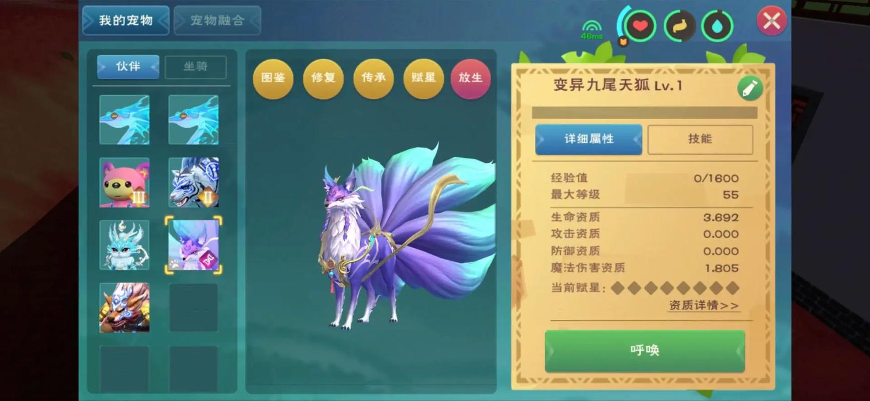创造与魔法派遣任务什么宠物好