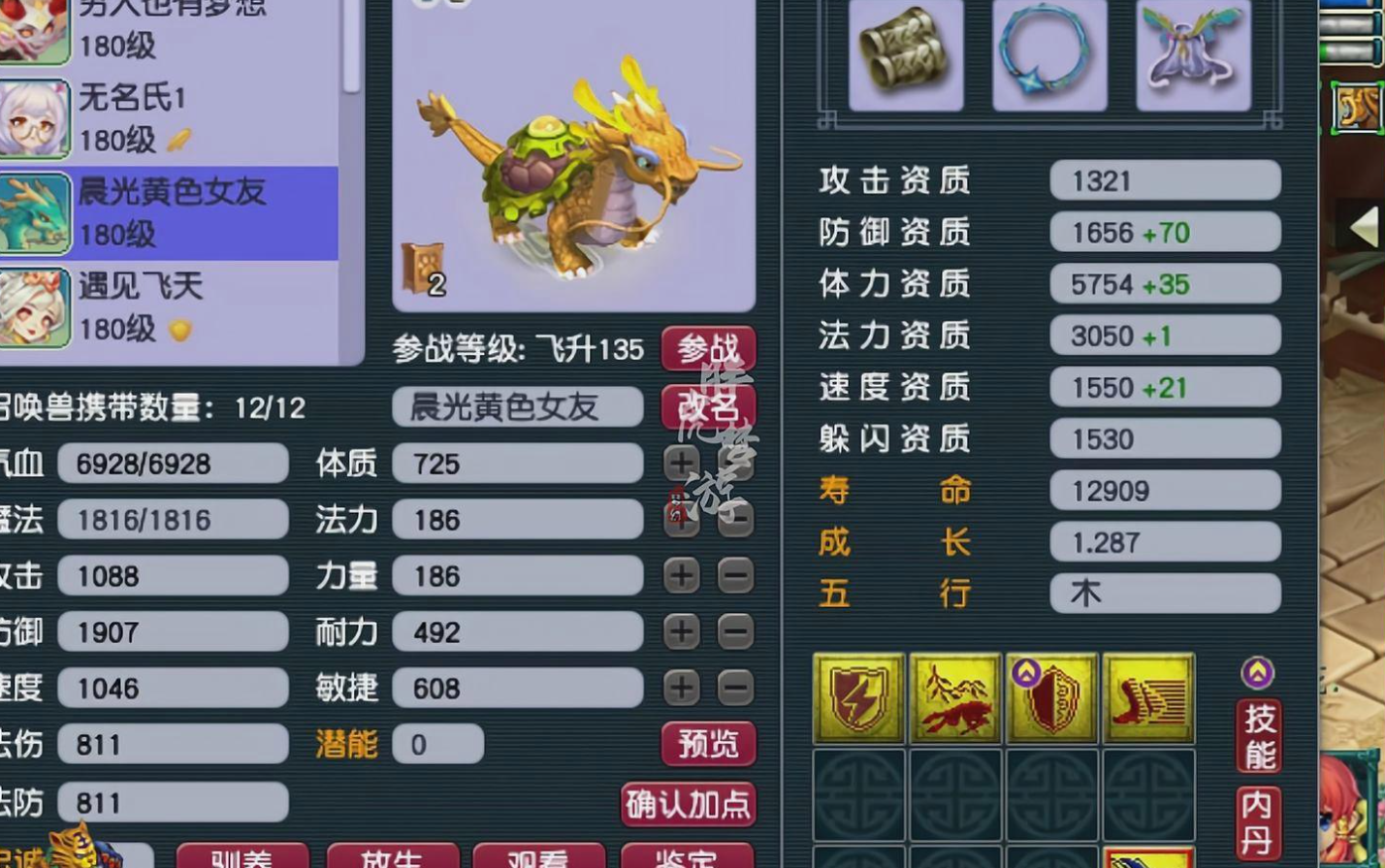 梦幻西游龙龟打什么掉水攻