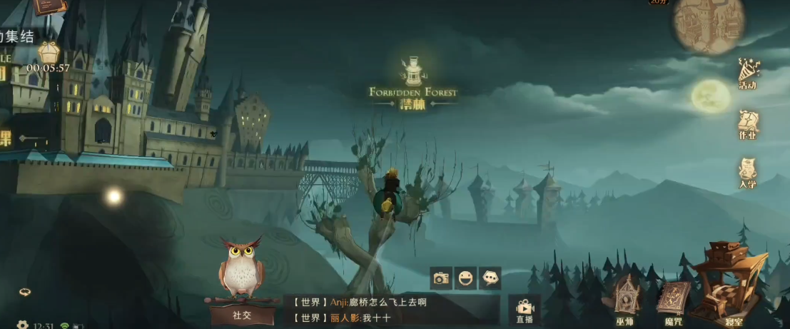 哈利波特魔法觉醒隐藏森林怎么进