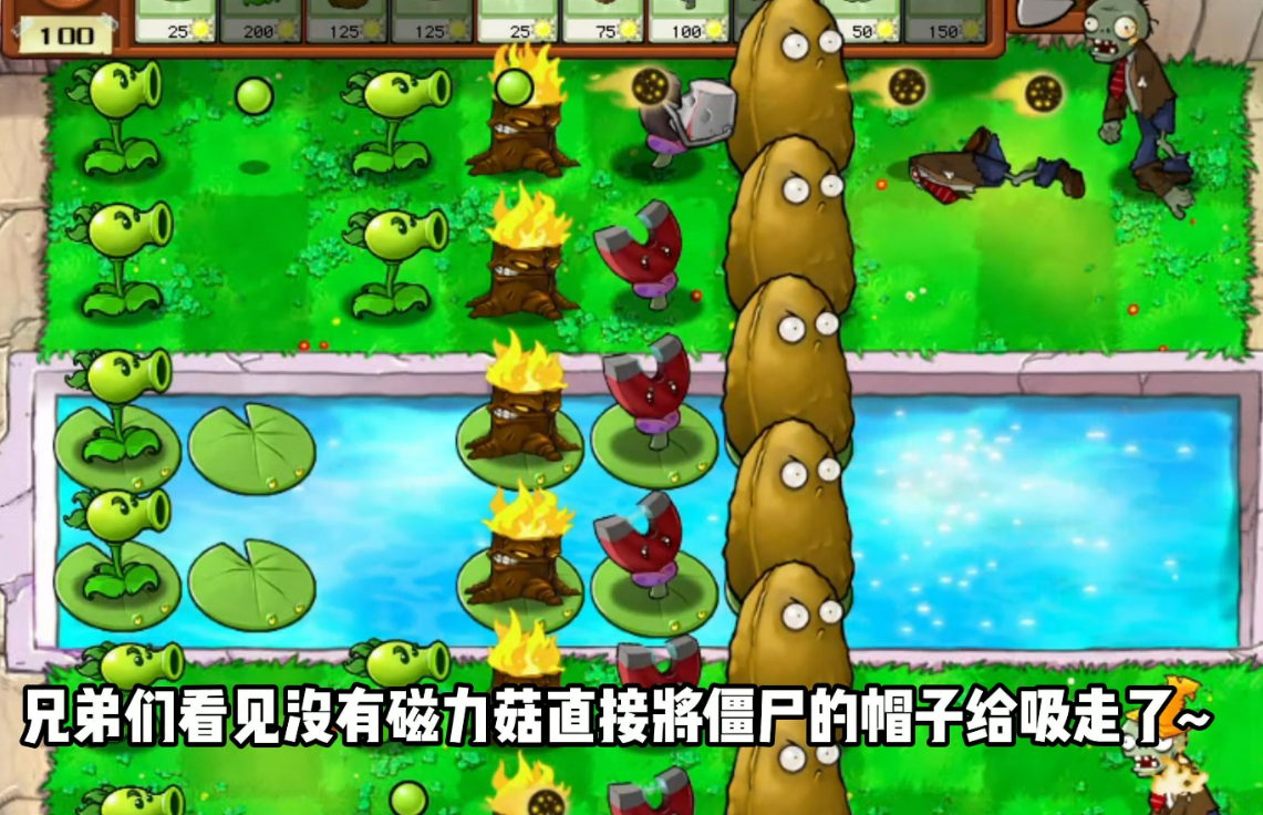 植物大战僵尸坚不可摧怎么打
