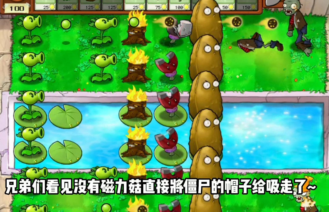 植物大战僵尸坚不可摧怎么打
