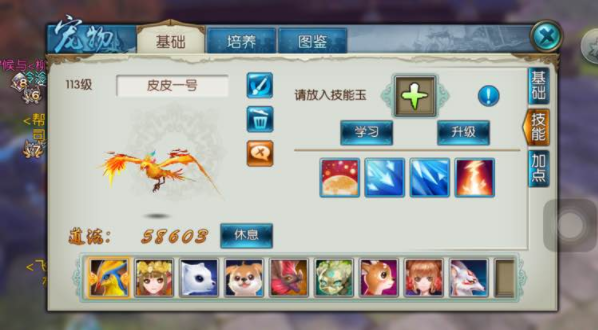 诛仙手游青云配什么宠物技能