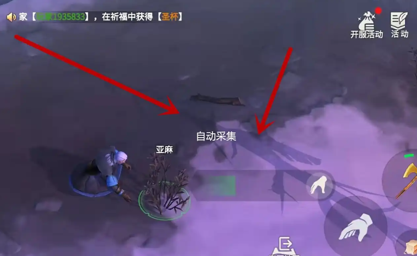 冰原守卫者自动采集怎么开