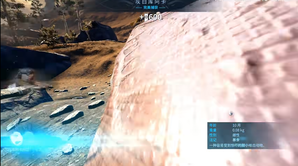 星际战甲地球动物怎么抓