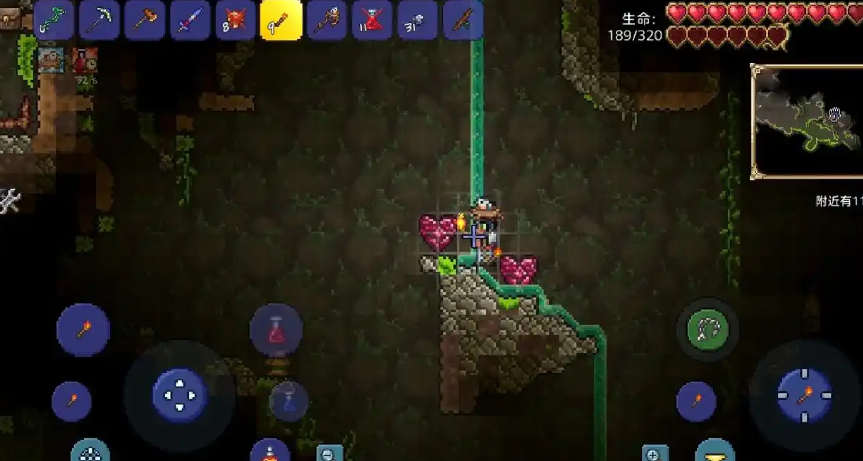 泰拉瑞亚600血怎么弄