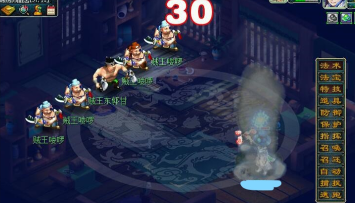 梦幻西游贼王法宠用什么