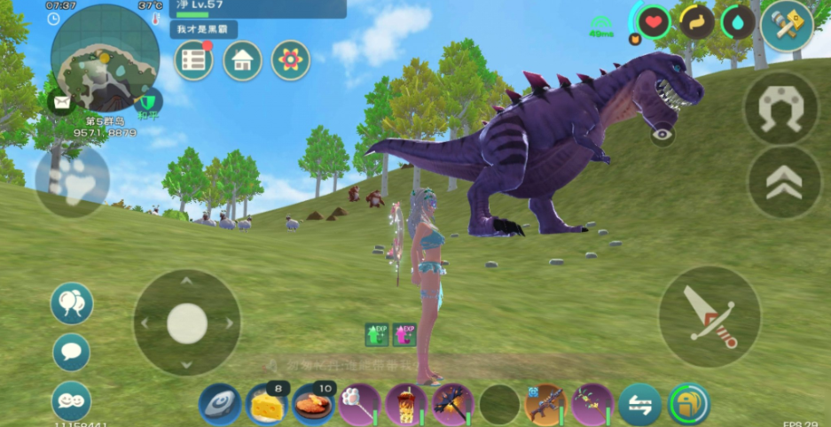 创造与魔法怎么抓宠物