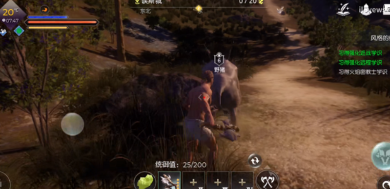 黑暗与光明野猪吃什么东西