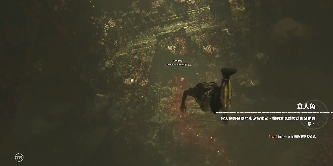 古墓丽影暗影食人鱼怎么过