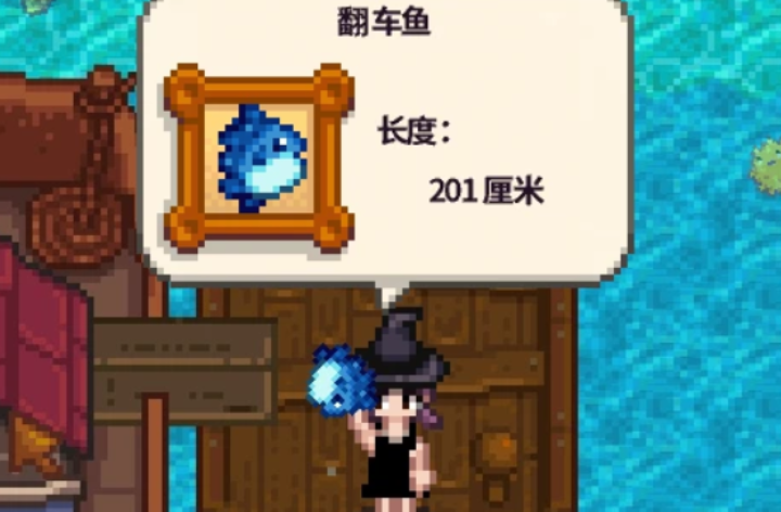 星露谷物语翻车鱼哪里钓 星露谷物语翻车鱼哪里钓