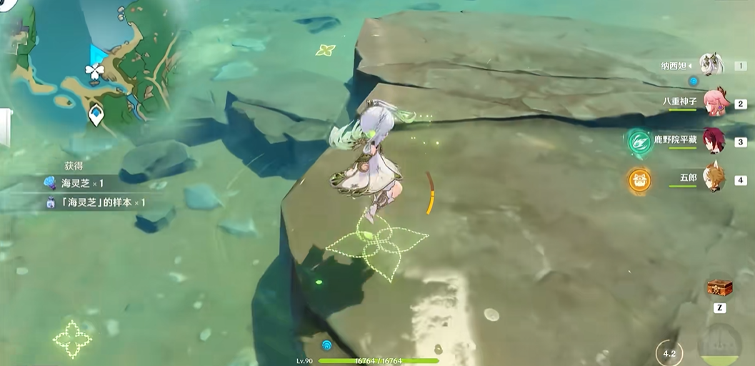 原神海灵芝在什么地方