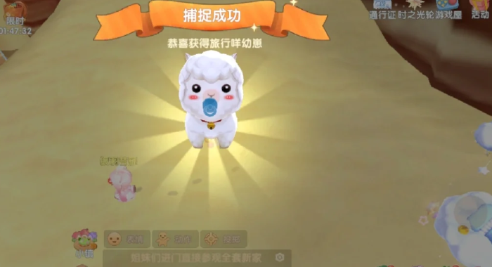 摩尔庄园宠物捕捉怎么玩