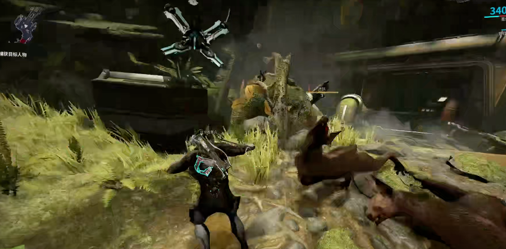 星际战甲库狛蛋在哪里 星际战甲库狛蛋在哪里