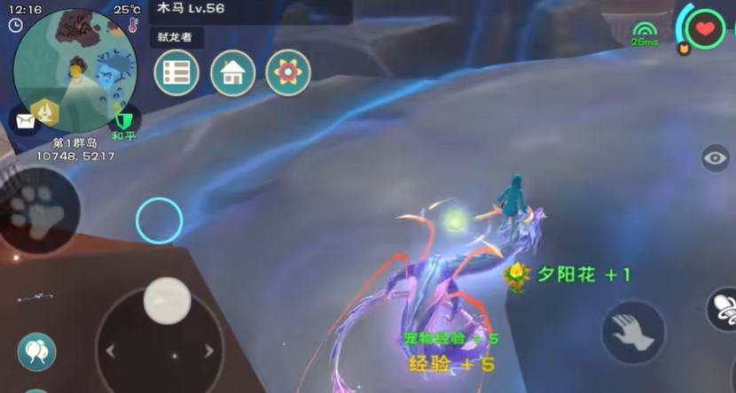 创造与魔法夕阳花在哪