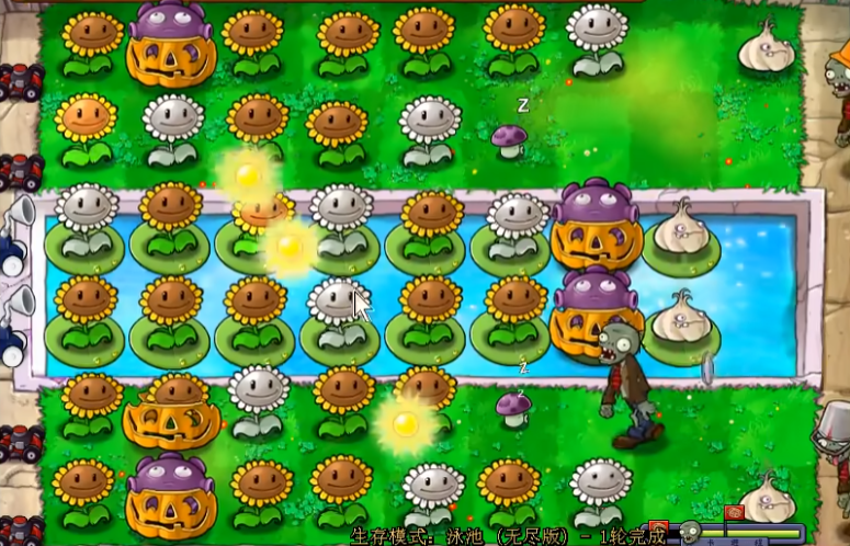 植物大战僵尸无尽模式有什么技巧