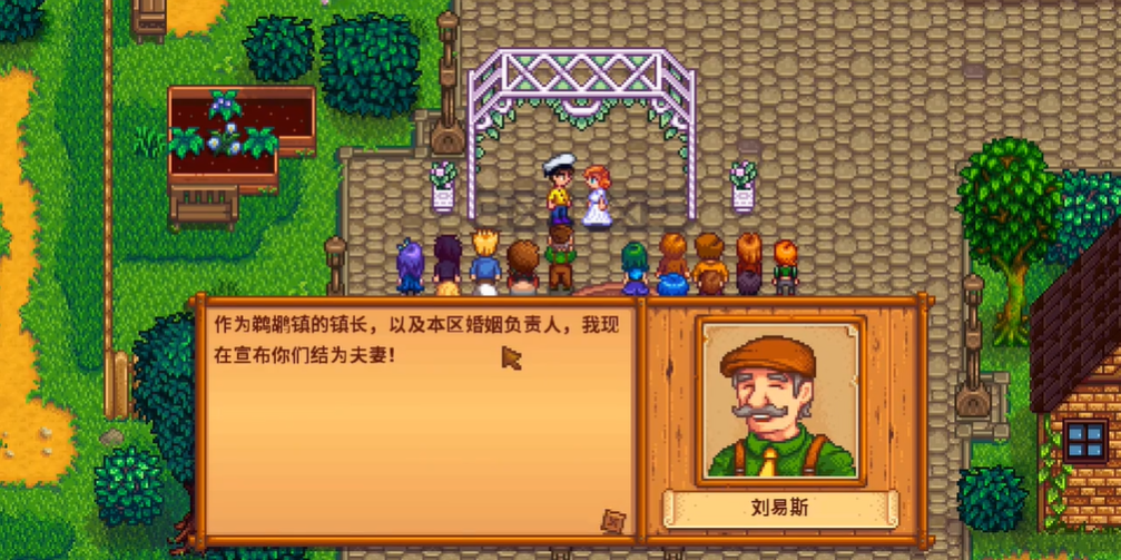 星露谷物语怎么跟潘妮结婚