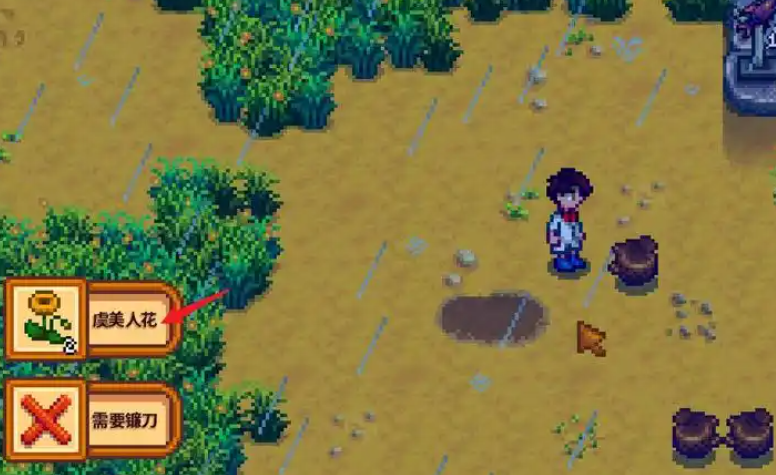 星露谷物语花怎么获得